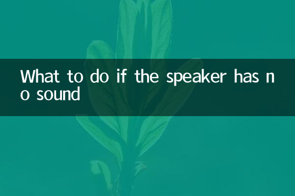 What to do if the speaker has no sound