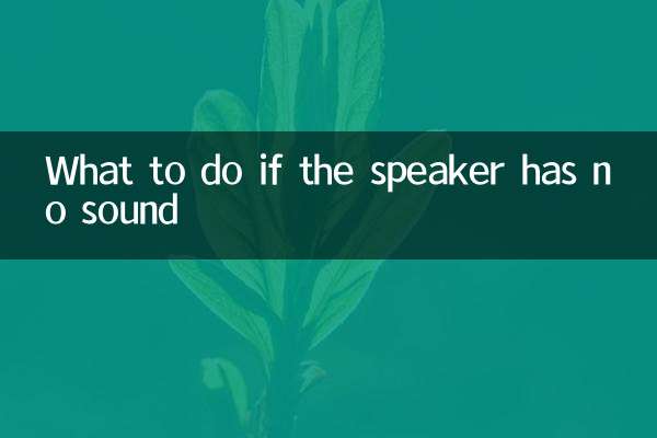 What to do if the speaker has no sound