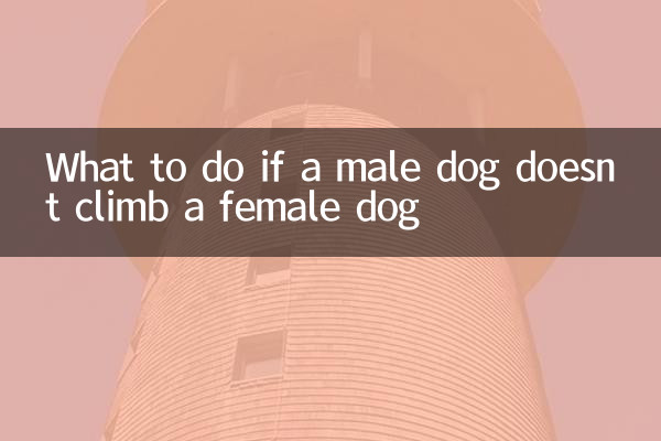 What to do if a male dog doesn’t climb a female dog