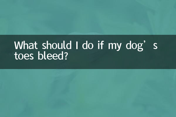 यदि मेरे कुत्ते के पैर की उंगलियों से खून बह रहा हो तो मुझे क्या करना चाहिए?