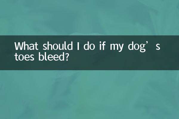 اگر انگشتان پاهای سگم خونریزی کرد چه باید بکنم؟
