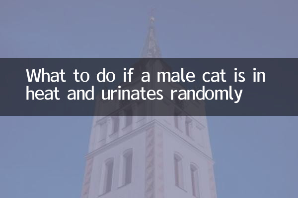 公貓發情亂撒尿怎麼辦