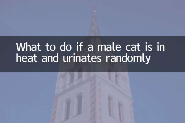 Что делать, если у кота течка и он мочится беспорядочно