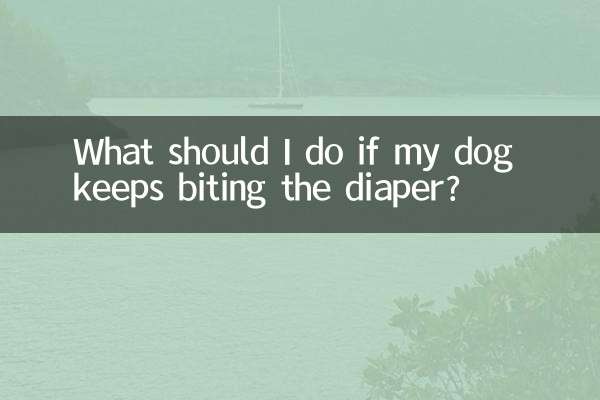 Что делать, если собака продолжает кусать подгузник?