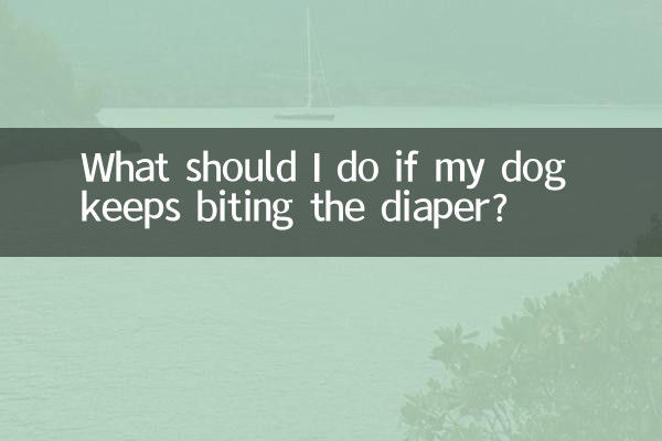 Что делать, если собака продолжает кусать подгузник?