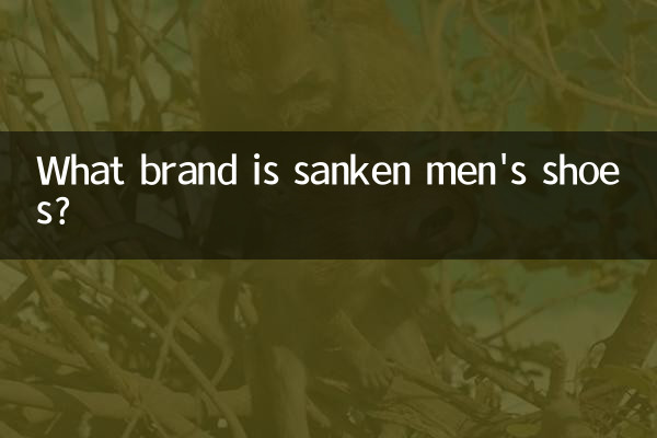 Какой марки мужская обувь Sanken?