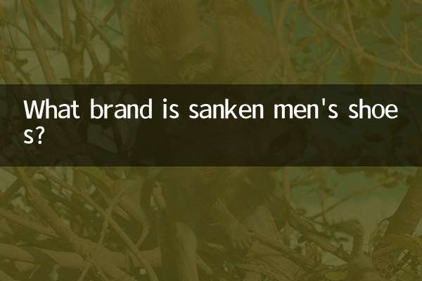 Какой марки мужская обувь Sanken?
