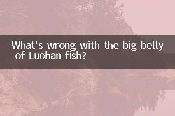 What's wrong with the big belly of Luohan fish?