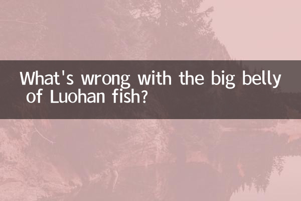 What's wrong with the big belly of Luohan fish?