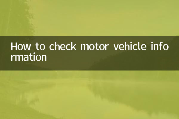 So überprüfen Sie die Fahrzeuginformationen