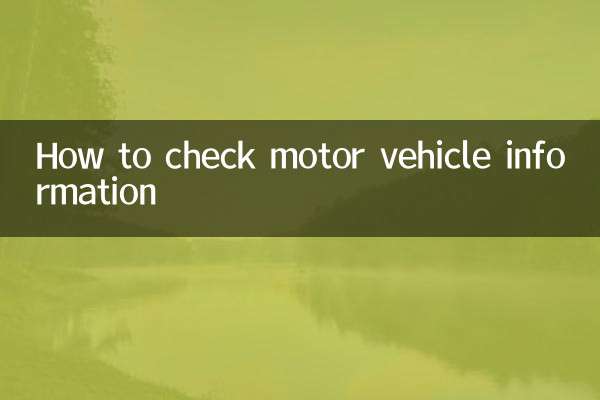 So überprüfen Sie die Fahrzeuginformationen