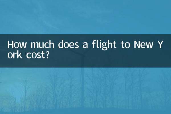 كم تكلف الرحلة إلى نيويورك ؟
