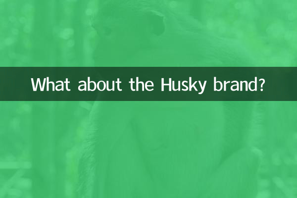 허스키 브랜드는 어떻습니까?