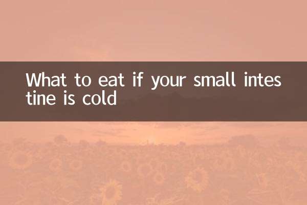 Que manger si votre intestin grêle est froid