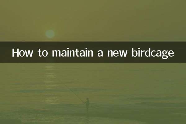 Comment entretenir une nouvelle cage à oiseaux