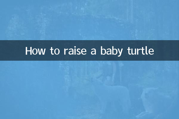 Wie man eine Babyschildkröte großzieht