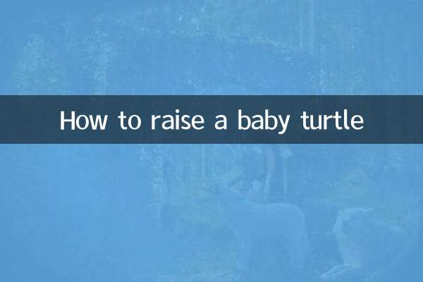 بچے کچھی کو کیسے پالیں