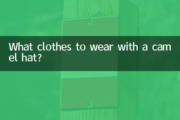 ラクダの帽子にはどんな服を着ますか？