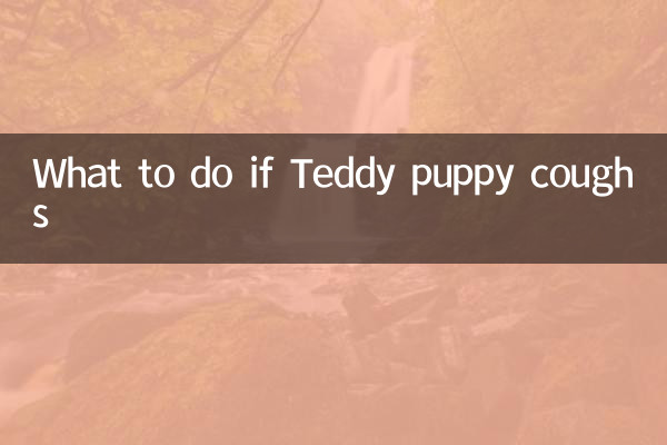 O que fazer se o cachorrinho Teddy tossir