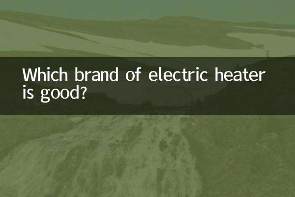 Which brand of electric heater is good?