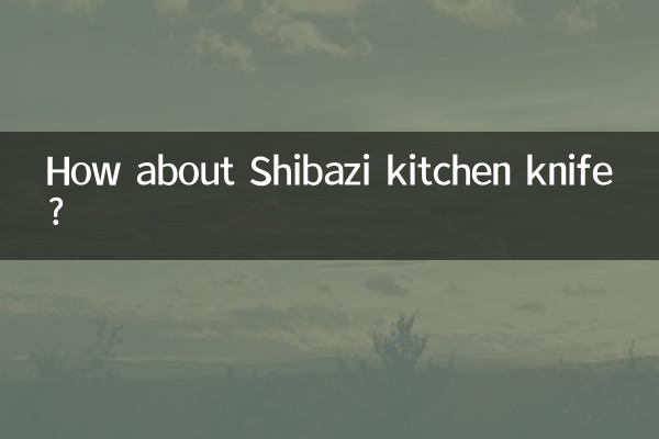시바지 식칼은 어떠세요?