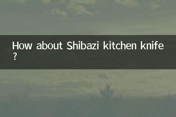 시바지 식칼은 어떠세요?