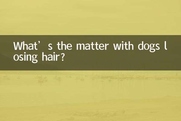 Was ist los, wenn Hunde Haare verlieren?