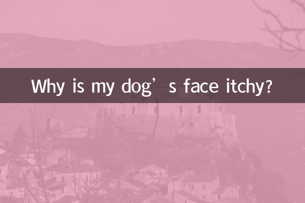 मेरे कुत्ते के चेहरे पर खुजली क्यों है?