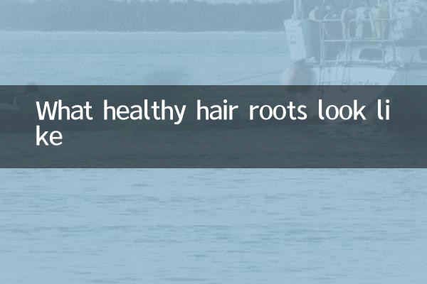 স্বাস্থ্যকর চুলের শিকড় দেখতে কেমন