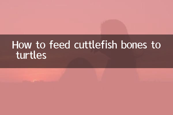 墨魚骨怎麼餵龜