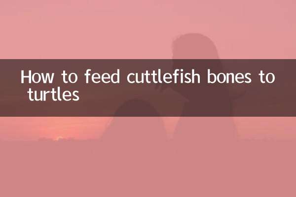 墨魚骨怎麼餵龜