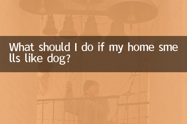 O que devo fazer se minha casa cheirar a cachorro?