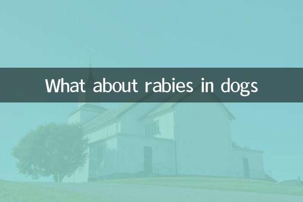 狗狗怎麼的狂犬病