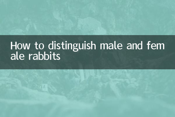 How to distinguish male and female rabbits
