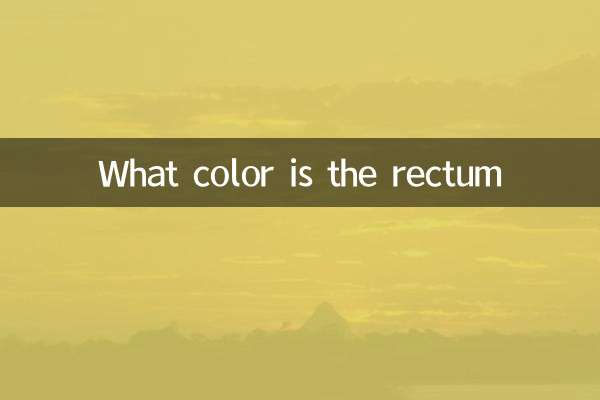 Welche Farbe hat das Rektum?