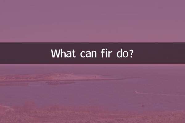 फ़िर क्या कर सकता है?
