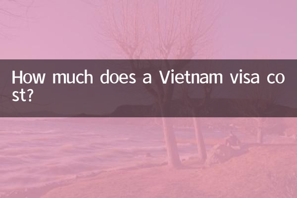 How much does a Vietnam visa cost?