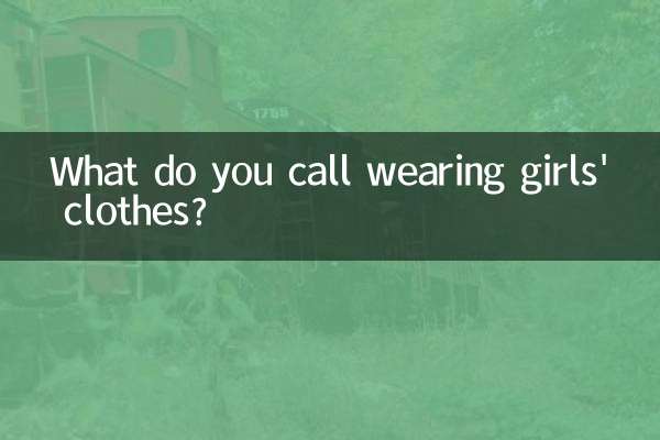 Como você chama usar roupas de menina?