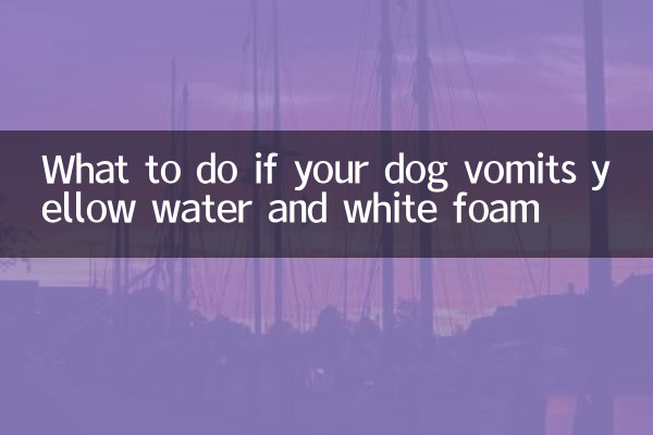 What to do if your dog vomits yellow water and white foam