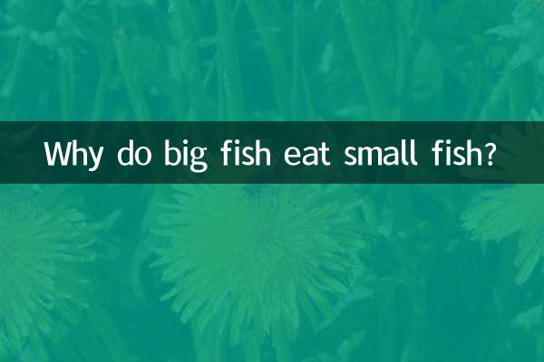 Why do big fish eat small fish?
