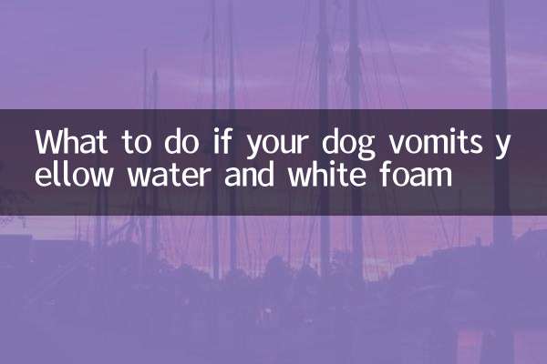 What to do if your dog vomits yellow water and white foam