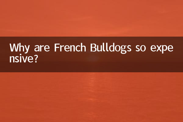 لماذا البلدغ الفرنسية باهظة الثمن؟