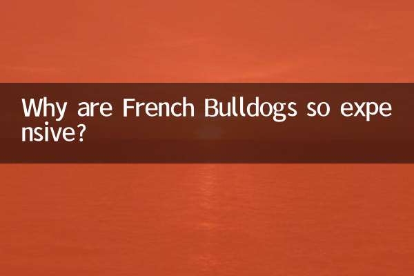 কেন ফরাসি বুলডগ এত ব্যয়বহুল?