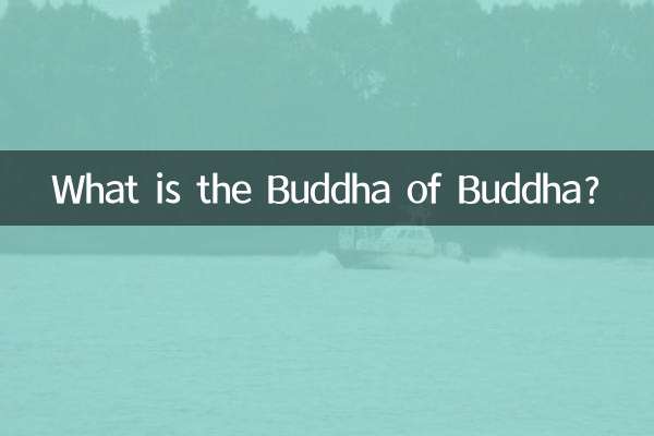 부처님의 부처님은 무엇입니까?