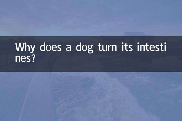 なぜ犬は腸を回転させるのでしょうか？