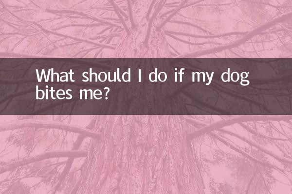 Cosa devo fare se il mio cane mi morde?