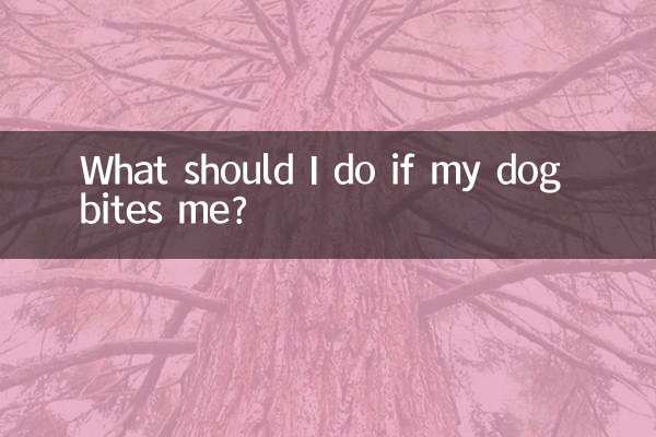 被自己的狗咬了怎么办