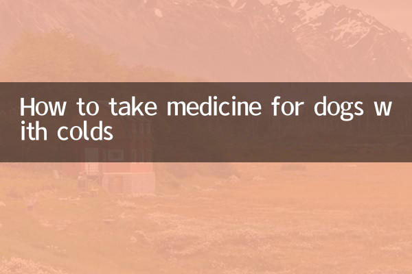 狗狗感冒怎麼吃藥