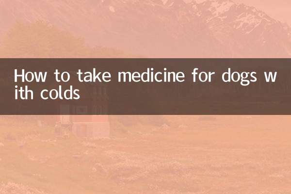 狗狗感冒怎麼吃藥
