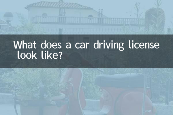 كيف تبدو رخصة قيادة السيارة؟